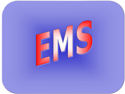 Electro Mechanical Specialists, LLC