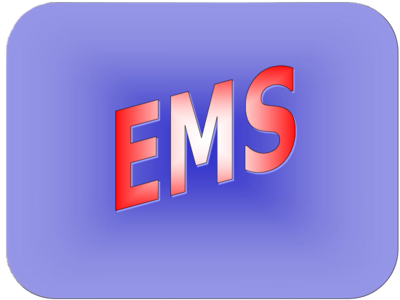 Electro Mechanical Specialists, LLC