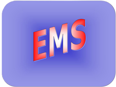 Electro Mechanical Specialists, LLC